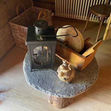 Chalet Alpage Proche Geneve Mégevette エクステリア 写真
