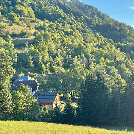 Chalet Alpage Proche Geneve Mégevette エクステリア 写真