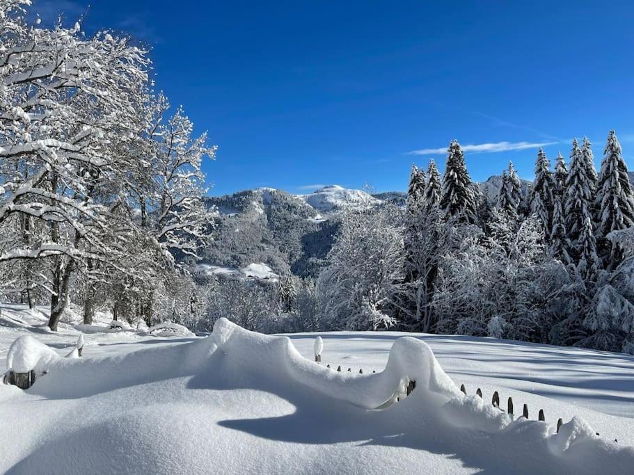 Chalet Alpage Proche Geneve Mégevette エクステリア 写真
