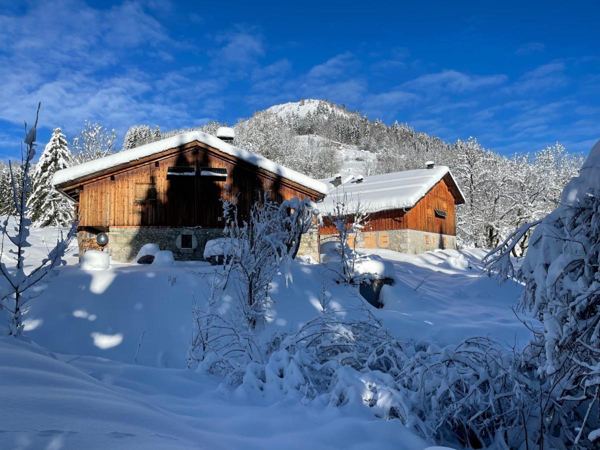 Chalet Alpage Proche Geneve Mégevette エクステリア 写真