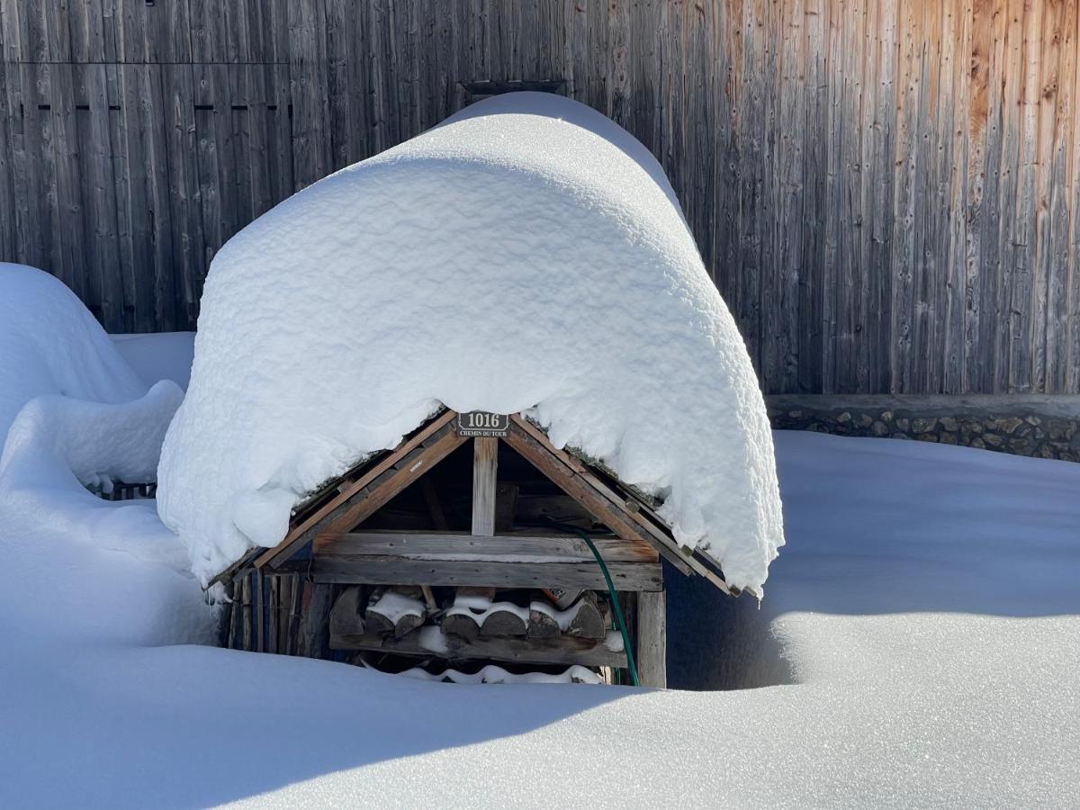 Chalet Alpage Proche Geneve Mégevette エクステリア 写真
