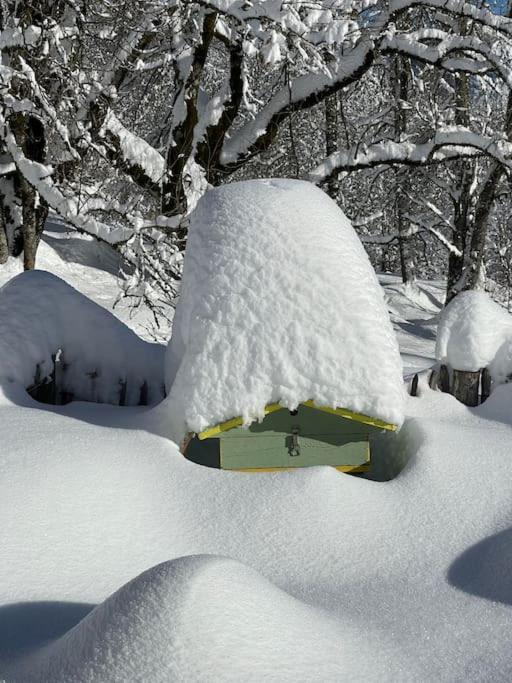 Chalet Alpage Proche Geneve Mégevette エクステリア 写真