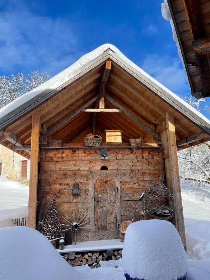 Chalet Alpage Proche Geneve Mégevette エクステリア 写真