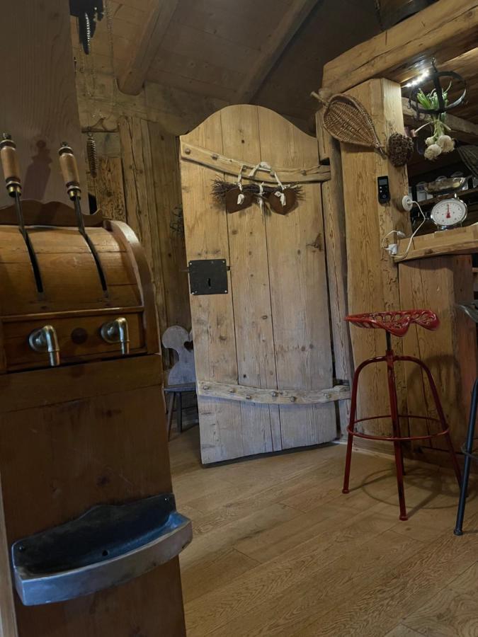 Chalet Alpage Proche Geneve Mégevette エクステリア 写真