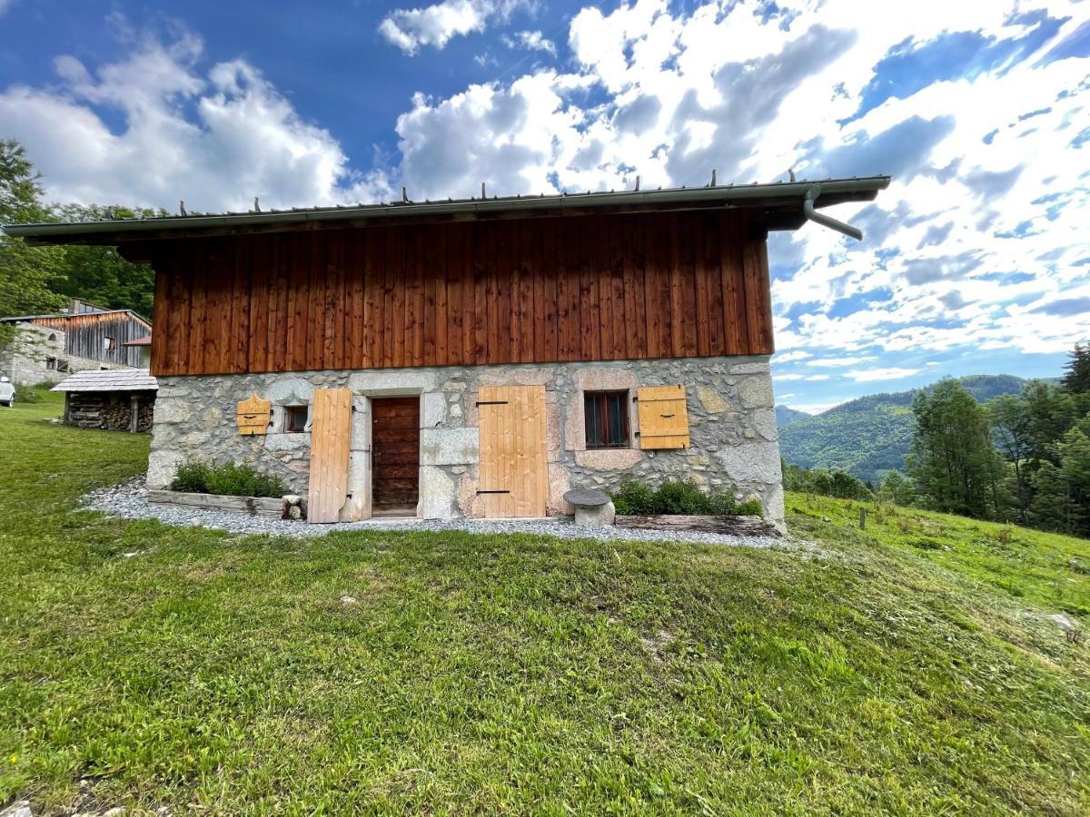Chalet Alpage Proche Geneve Mégevette エクステリア 写真