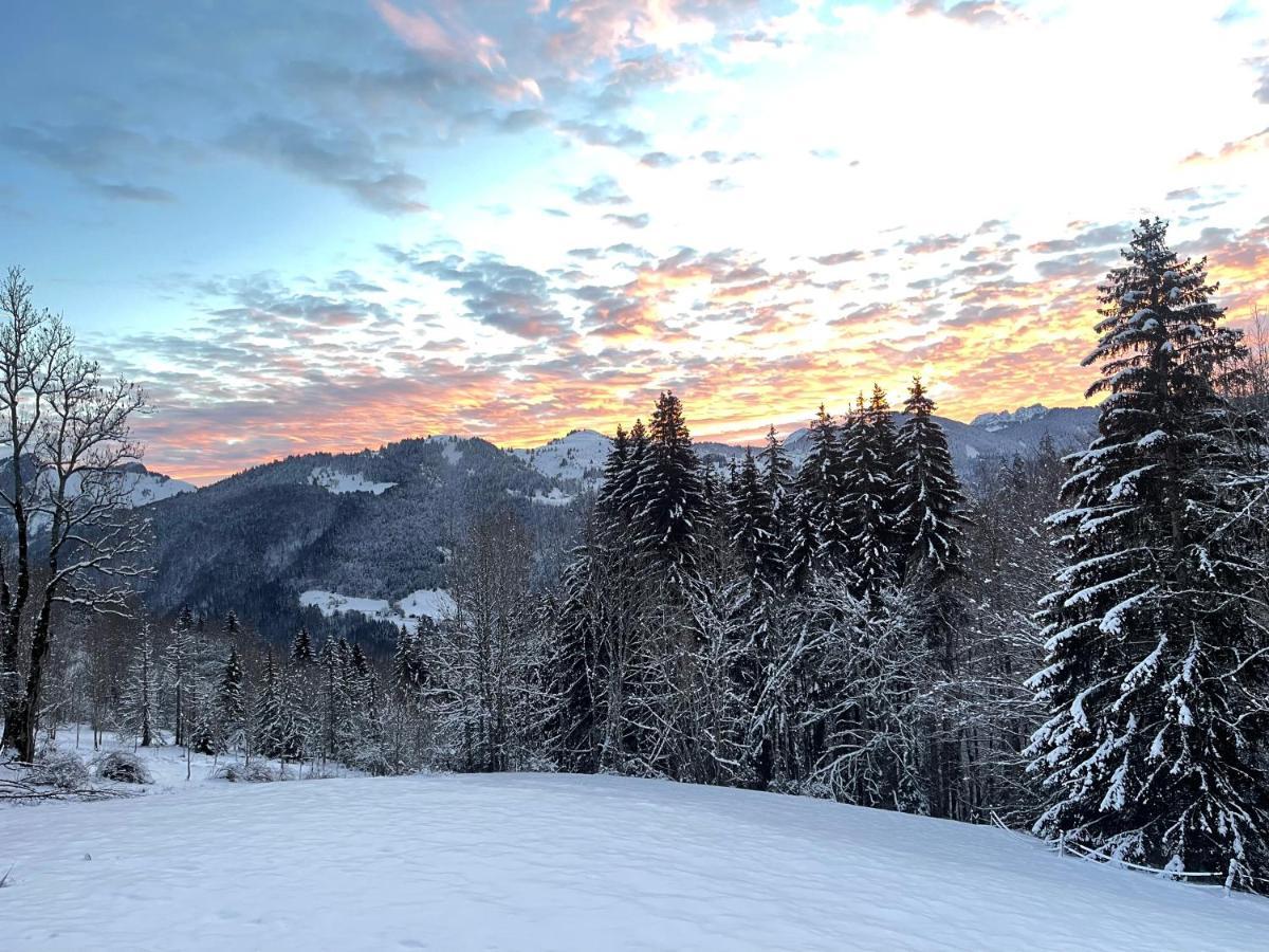 Chalet Alpage Proche Geneve Mégevette エクステリア 写真