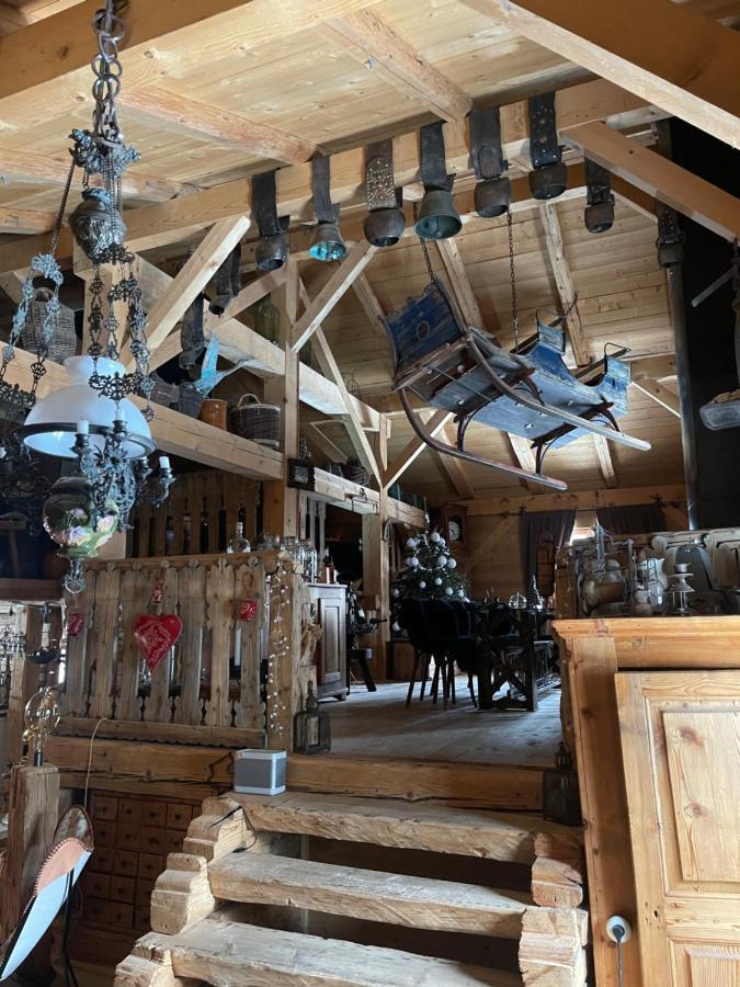 Chalet Alpage Proche Geneve Mégevette エクステリア 写真