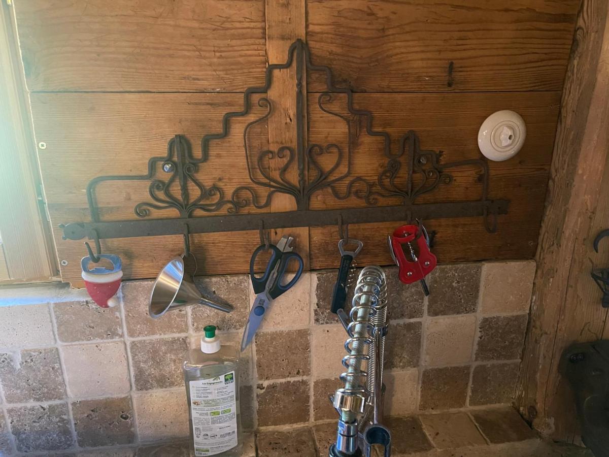 Chalet Alpage Proche Geneve Mégevette エクステリア 写真