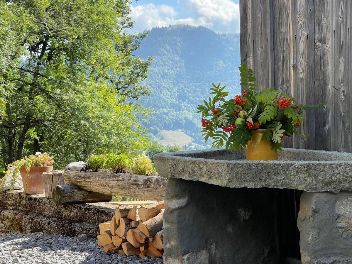 Chalet Alpage Proche Geneve Mégevette エクステリア 写真