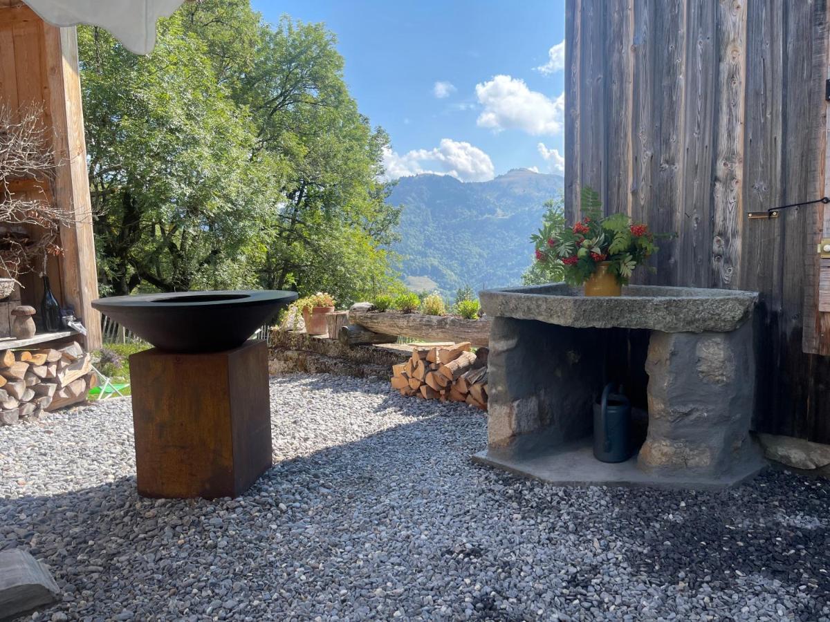 Chalet Alpage Proche Geneve Mégevette エクステリア 写真