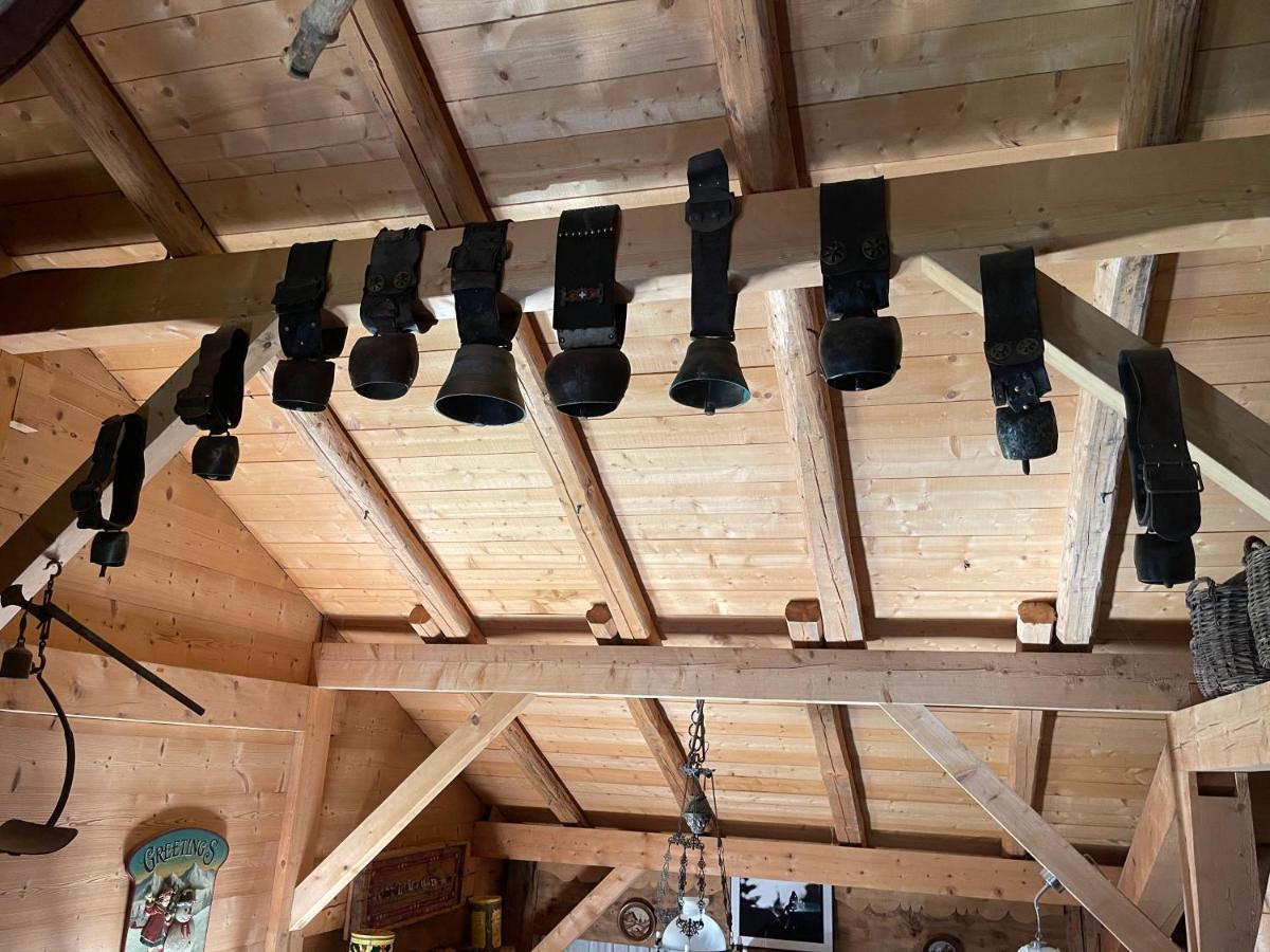 Chalet Alpage Proche Geneve Mégevette エクステリア 写真