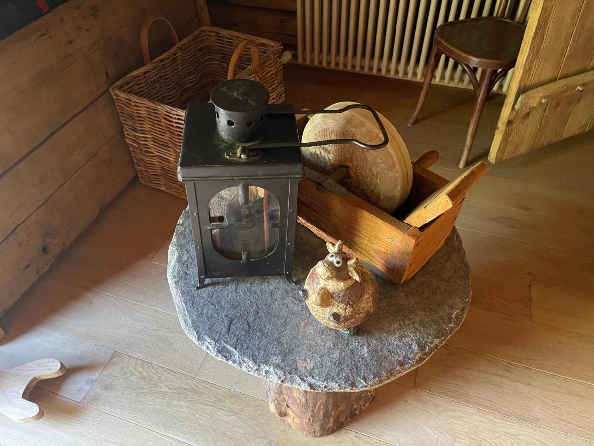 Chalet Alpage Proche Geneve Mégevette エクステリア 写真
