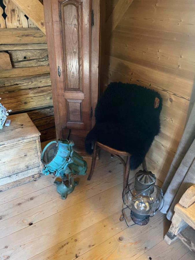Chalet Alpage Proche Geneve Mégevette エクステリア 写真