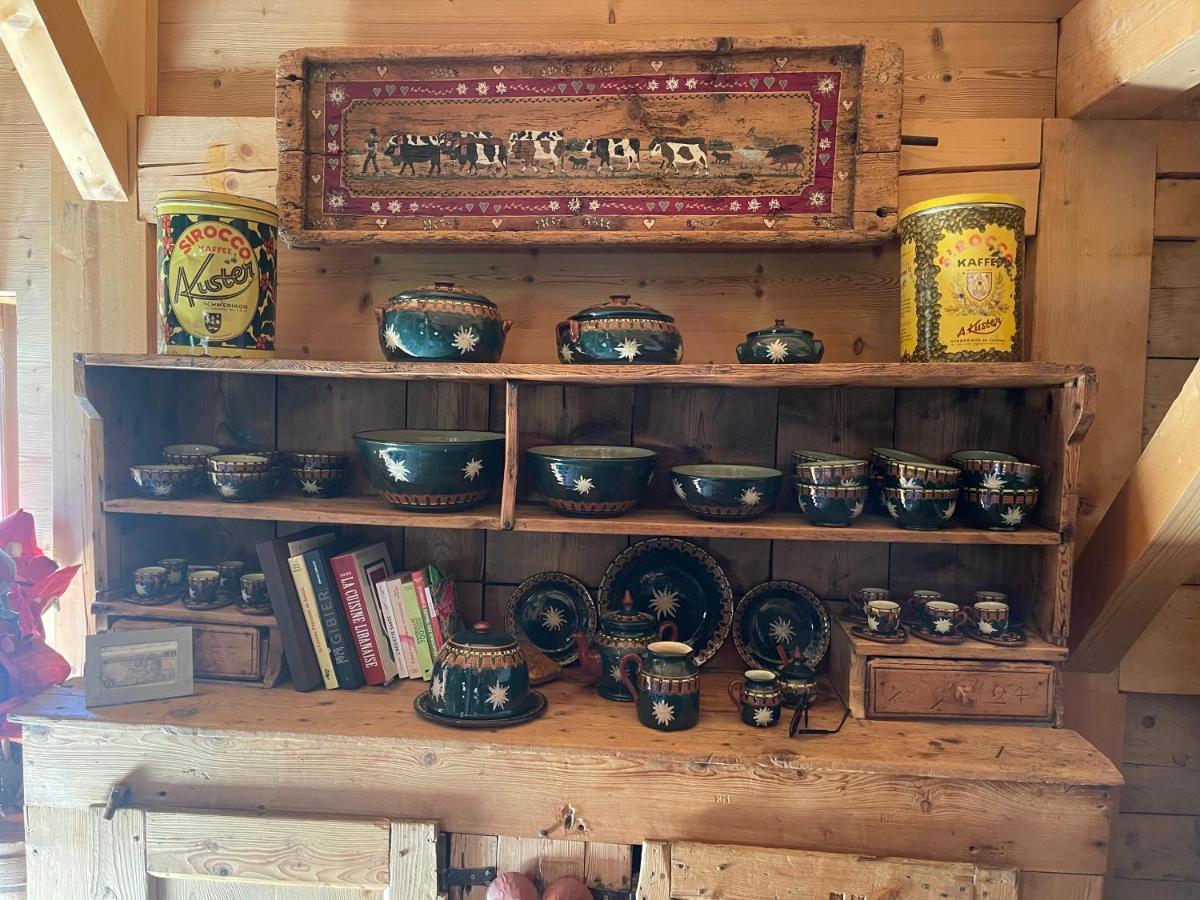 Chalet Alpage Proche Geneve Mégevette エクステリア 写真