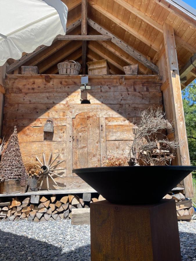 Chalet Alpage Proche Geneve Mégevette エクステリア 写真