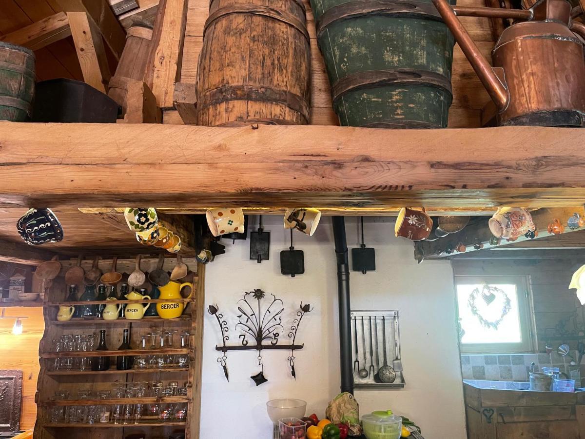 Chalet Alpage Proche Geneve Mégevette エクステリア 写真